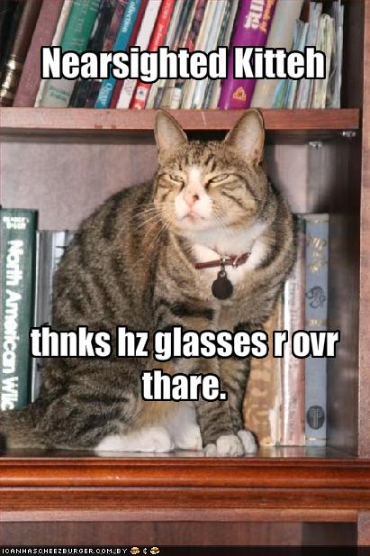 GlassesCat.jpg
